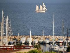 183 D36 LE LAVANDOU_000070